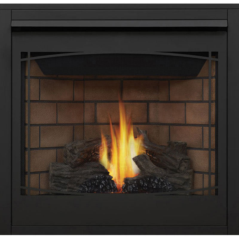 Napoleon Ascent 35/36 (B35, B36) Decorative Fronts & Trim Kits Zen front, black (Z35F)