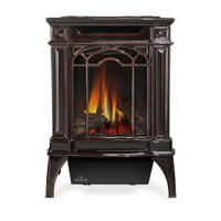 Napoleon Arlington GDS20NNSB Majolica brown cast iron direct vent gas stove