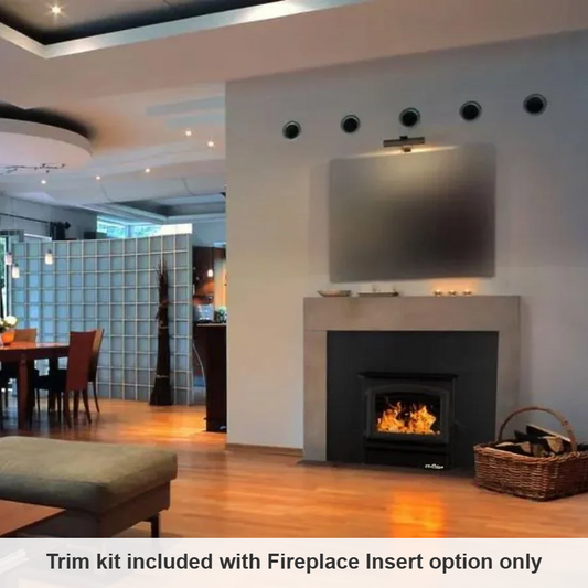 Carolina Model 21 NC wood stove (FP21) installed as a fireplace insert in a modern living room